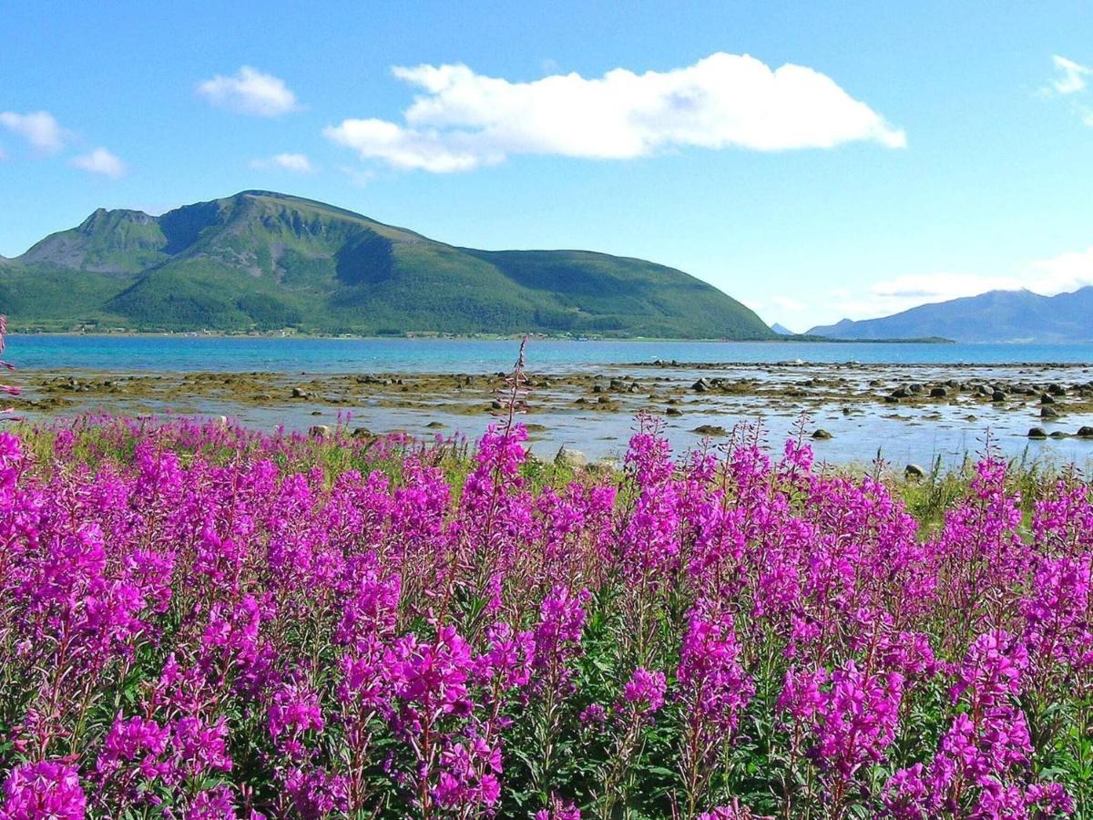 Holiday Home Sortland III Экстерьер фото