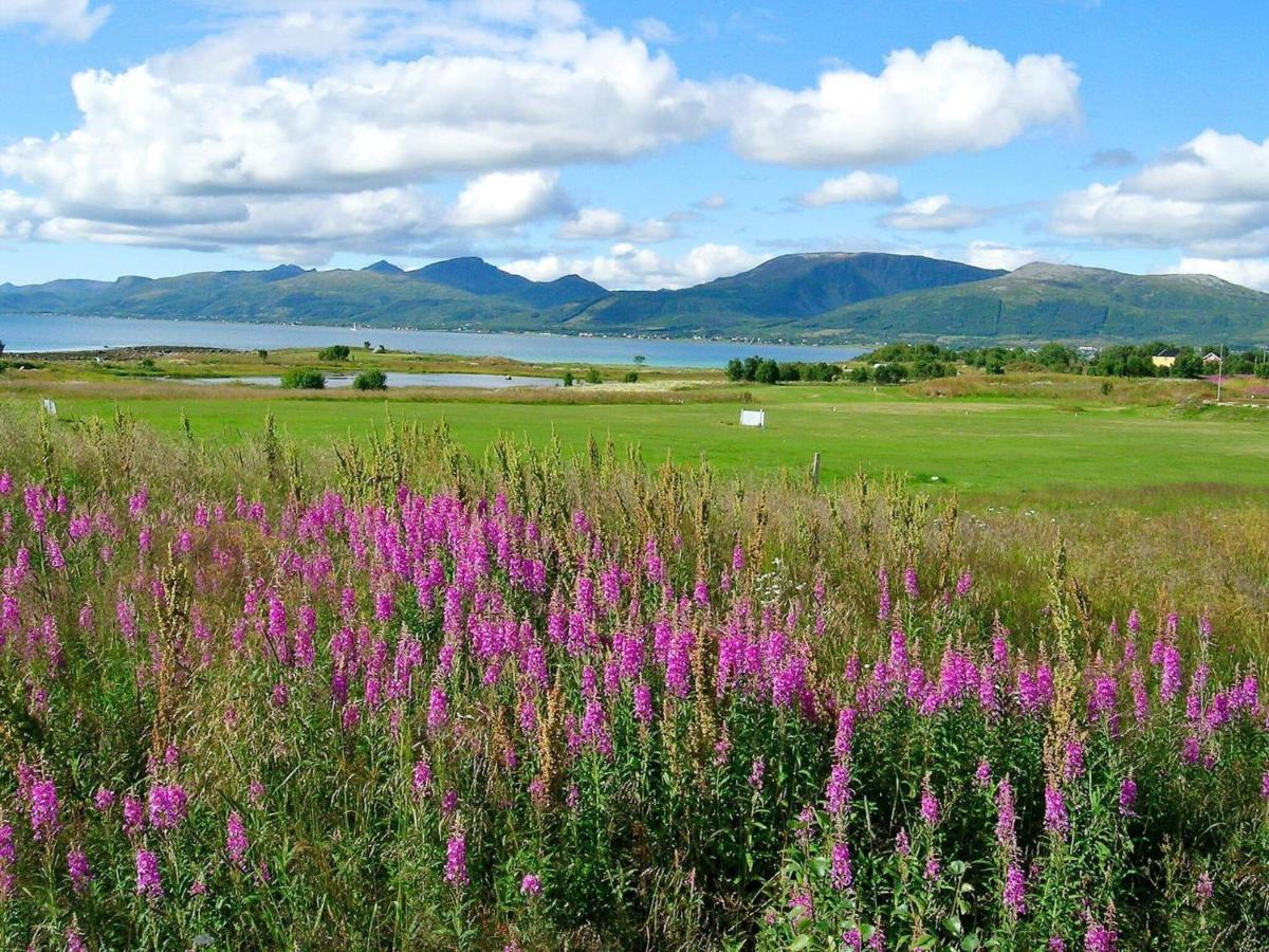 Holiday Home Sortland III Экстерьер фото